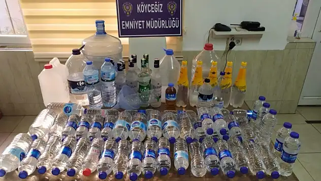 Köyceğiz'de 2020'de 51 operasyon