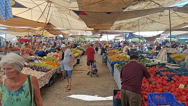 Koyuncu, 'Bu sezon işler beklenenin altında'