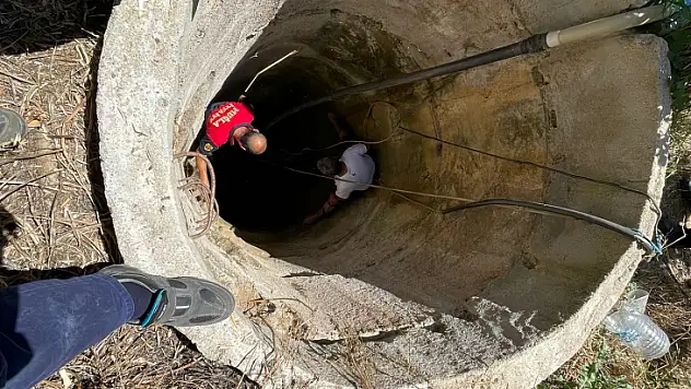 KUYUYA DÜŞEN PORSUK KURTARILDI