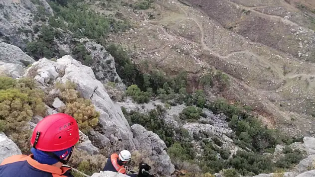 MAHSUR KALAN KEÇİ BAŞARIYLA KURTARILDI