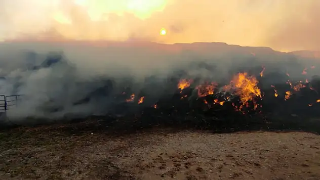 MİLAS'TA OT BALYA YANGINI