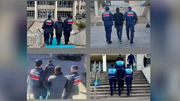 Muğla'da jandarma operasyonu!