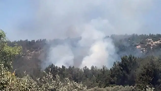 Muğla'da ki orman yangını söndürüldü