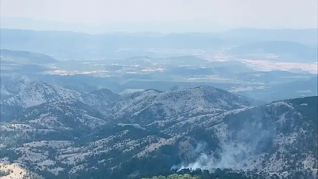 Muğla'da Orman Yangını