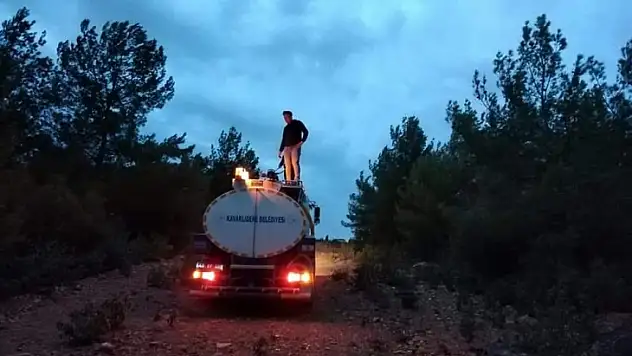 Orman yangınları kontrol altına alındı