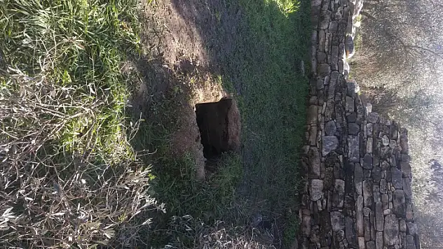 Oyun oynarken canından oluyordu