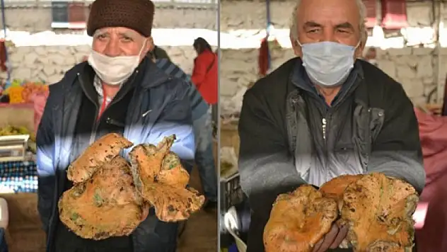 Şimdi Çıntar Zamanı