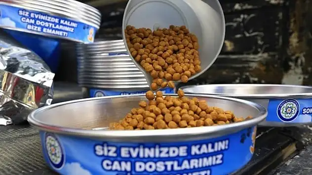 Sokak Hayvanlarına Yem Takviyesi