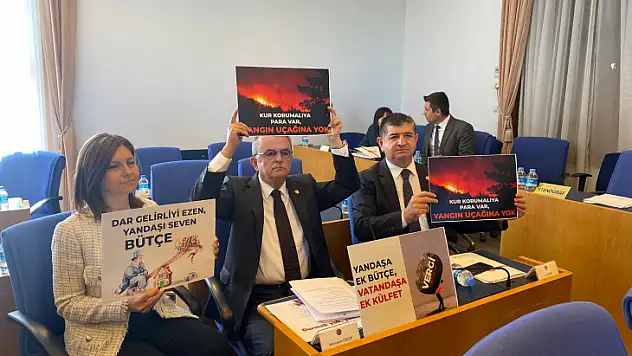 TBMM'DE MARMARİS YANGINI GERGİNLİĞİ: