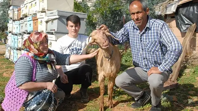 Veteriner 6 saatte hayata döndürdü