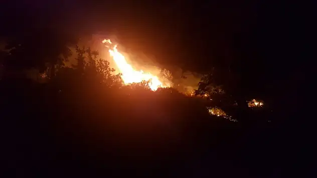 Yaklaşık 10 dönüm alan yandı