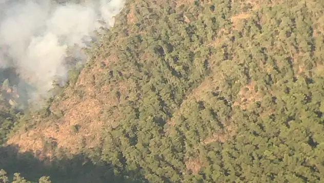 YANGIN KONTROL ALTINA ALINDI