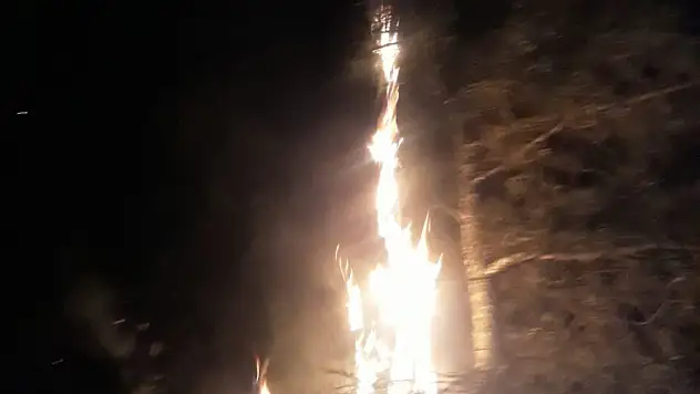 YILDIRIM ORMAN YANGINI YARATTI