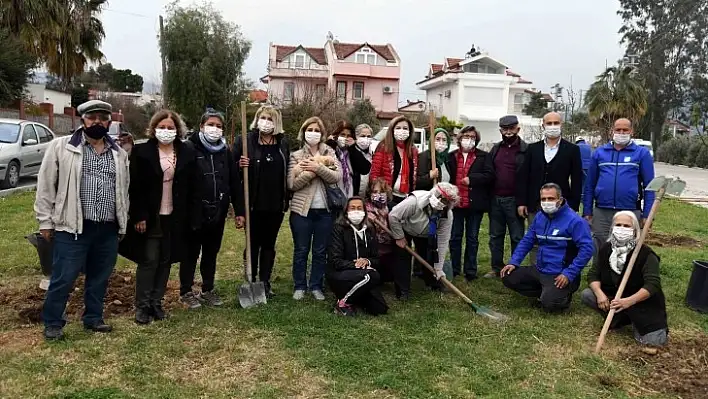 14 adet günlük ağacı dikildi 