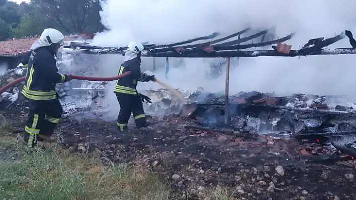 250 adet arı kovanı yanarak kül oldu