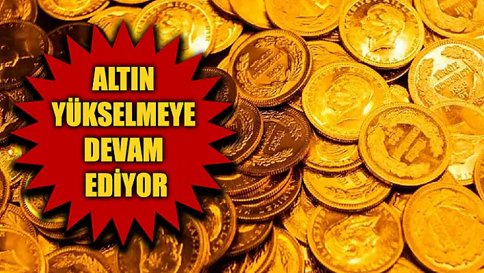 Altın Yükselmeye Devam Ediyor