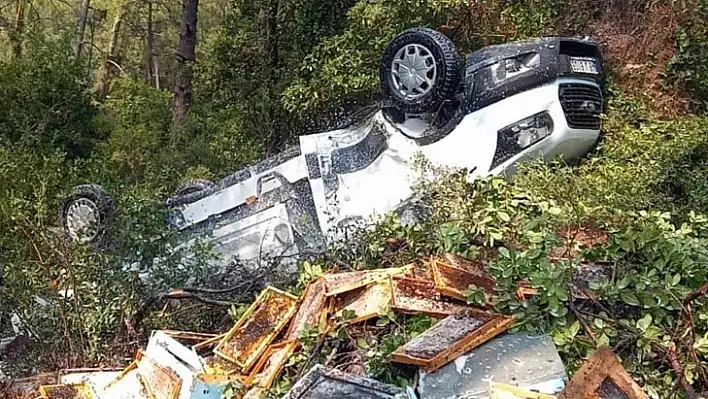 Arı Yüklü Kamyonet Uçuruma Yuvarlandı