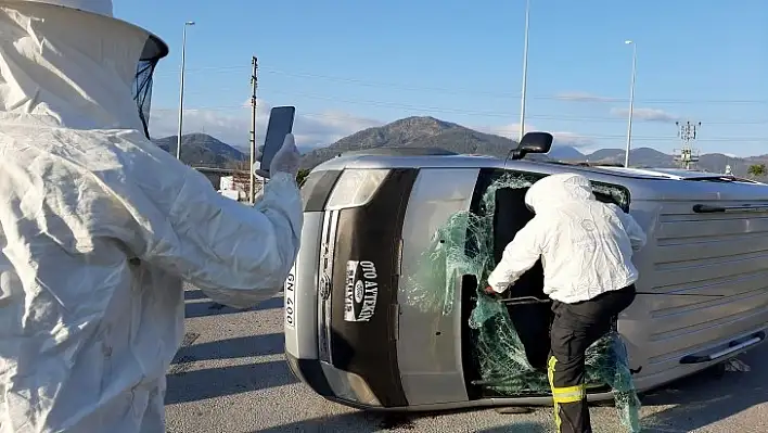 Arılar Ekiplere Zor Anlar Yaşattı