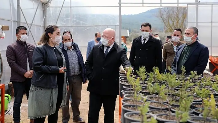 Ata tohumlarından 12 ton ürün elde edildi