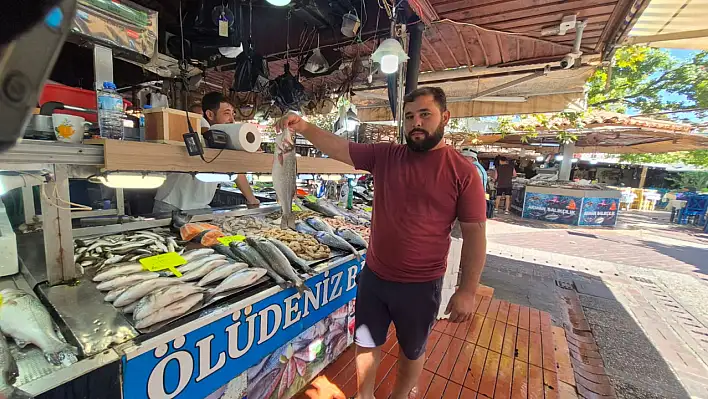 Balık Pazarı'nda çupra ve lopa balığı satışta