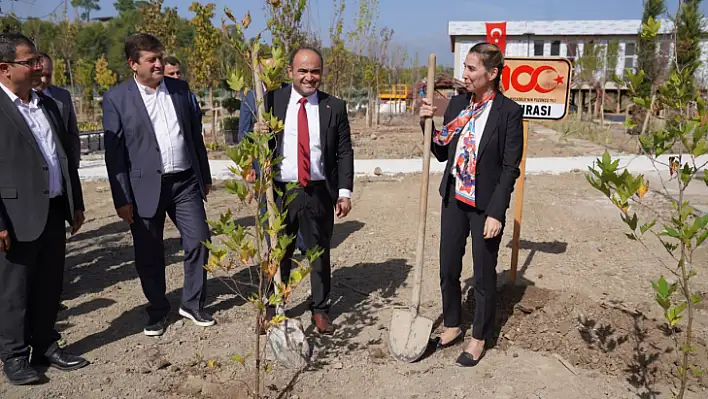 Başkan Akdenizli, 100. yıla özel Millet Bahçesine çınar ağacı dikti