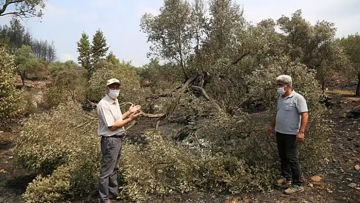 Başkan Atıcı, Yanan Alanları İnceledi