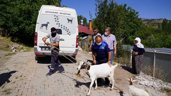 Başkan Otgöz sözünü tuttu!