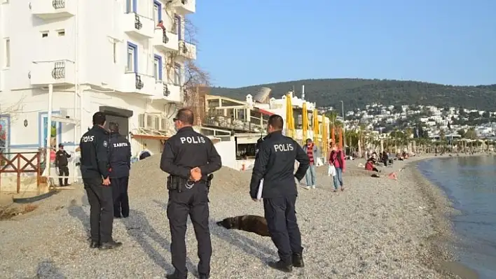 Bodrum'a piknik yasağı geldi