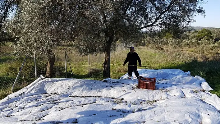 Bodrum Belediyesi Kendi Yağında Kavruluyor