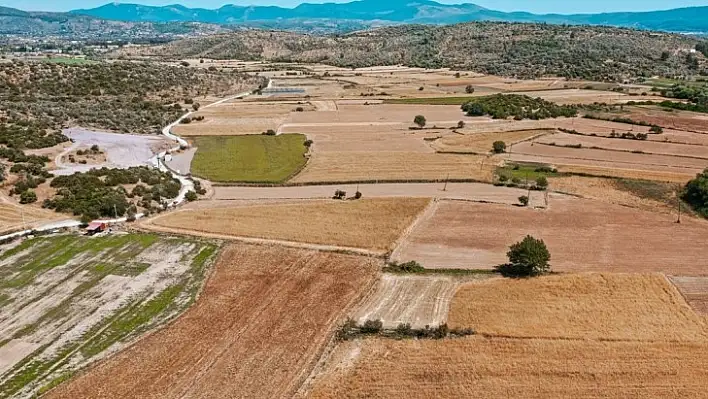 Bodrum Belediyesi'nin tarımsal kalkınma hamlesi adım adım hayata geçiriliyor