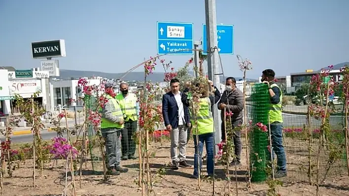 Bodrum 'Çiçek Açıyor'