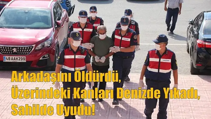 Bodrum'da Akıl Almaz Cinayet !