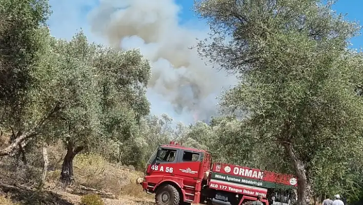BODRUM'DAKİ ORMAN YANGINI KONTROL ALTINA ALINDI
