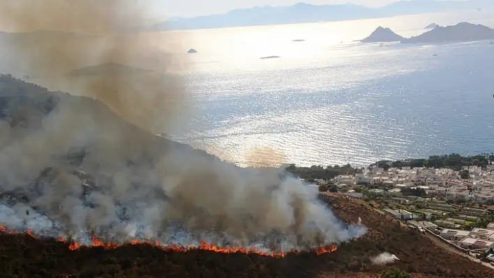 Bodrum'daki Yangın 4 Saatte Kontrol Altına Alındı, 50 Hektarlık Alan Kül Oldu