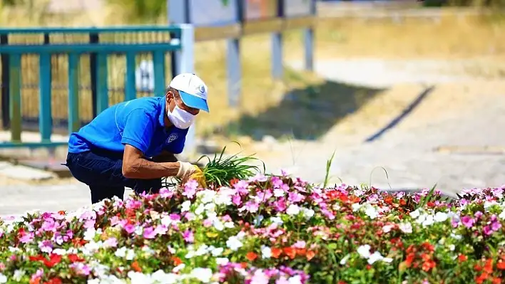 Büyükşehir Muğla'yı Renklendiriyor