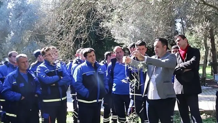 Büyükşehir'den 'Zeytin Budama Teknikleri' Konulu Eğitim