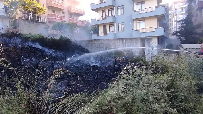 Çalı Yangını Kısa Sürede Söndürüldü