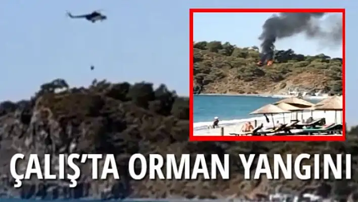 ÇALIŞ'TA ORMAN YANGINI