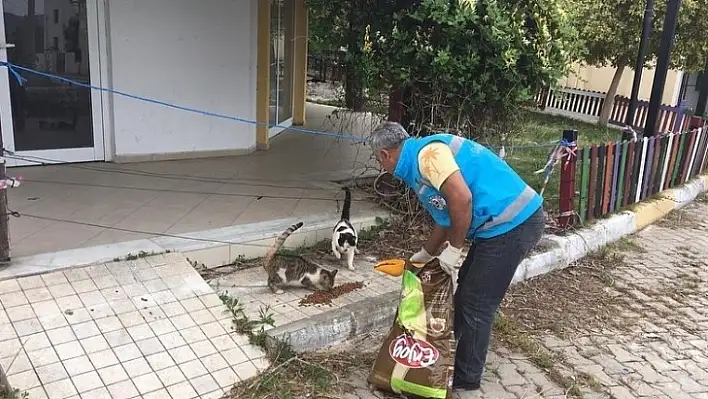 Çalışmalar yoğun şekilde devam ediyor