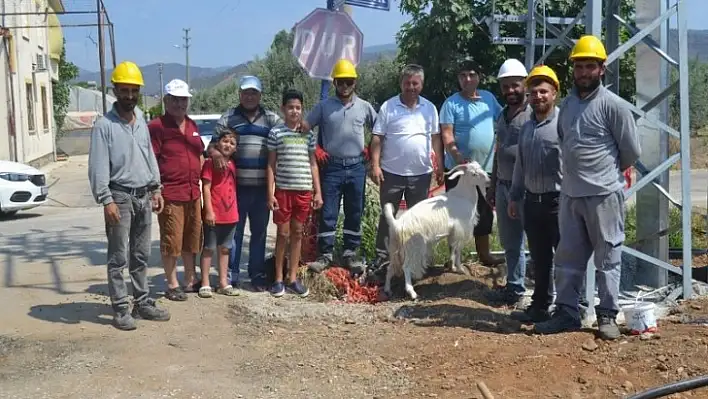 Cami Mahallesi Muhtarı Kavak, mahallenin elektirik sorununu çözdü