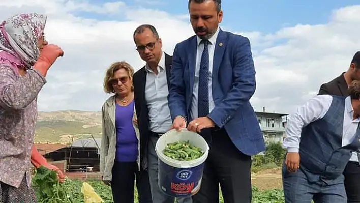 CHP'li Erbay: 'Yurttaşların ucuz gıdaya ulaşabilmesi için çiftçinin girdi maliyetleri düşürülmeli'