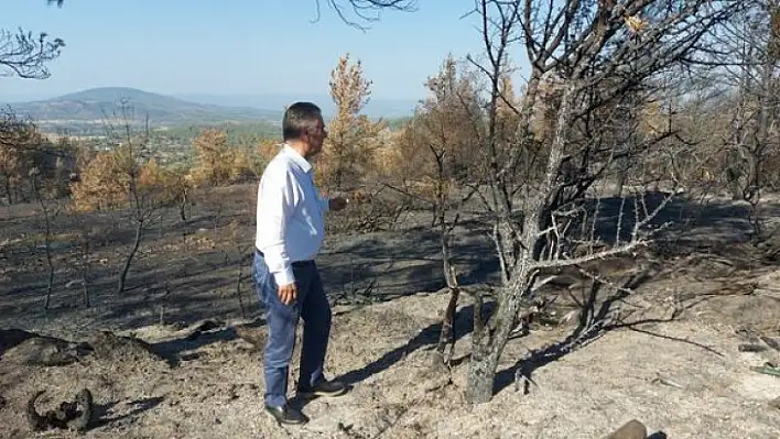 CHP'li Özcan'dan Tarım ve Orman Bakanına orman yangınları ile ilgili 41 soru