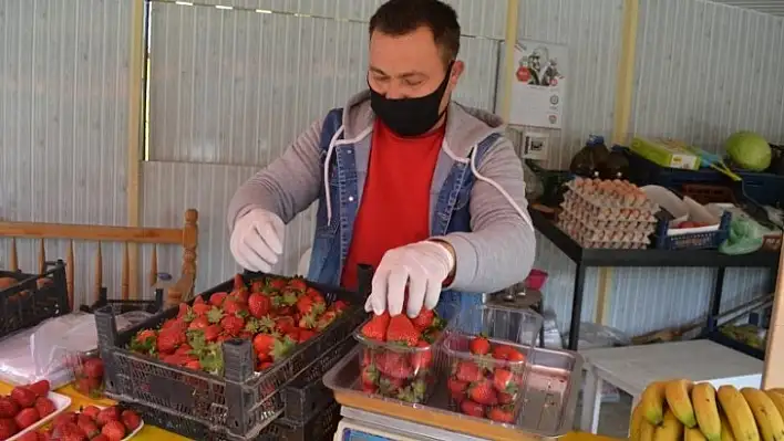 Çilek geçen yılın fiyatları ile satılıyor 