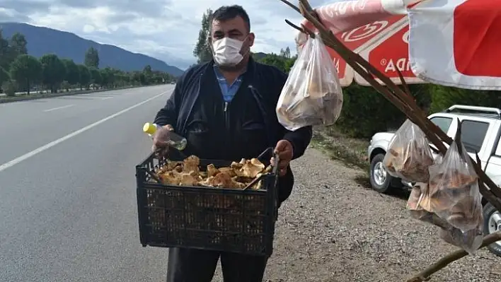 Çıntar mantarını hem satıyor hem de hediye ediyor