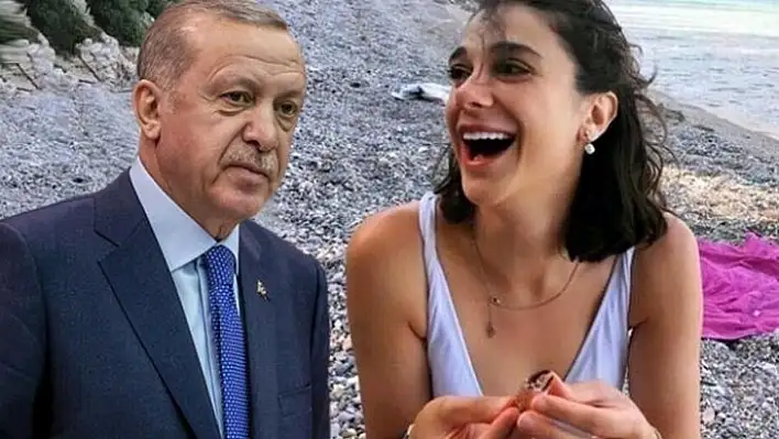 Cumhurbaşkanı Erdoğan'dan Pınar Gültekin açıklaması