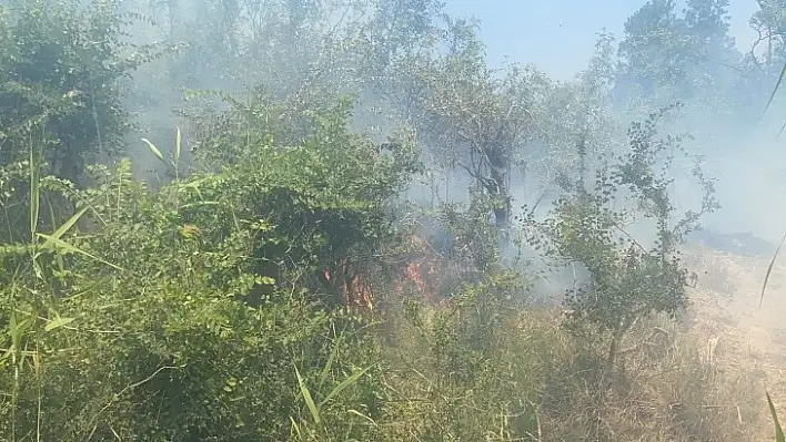 Dalaman'da cezaevi çevresi ve TİGEM arazilerinde yangın