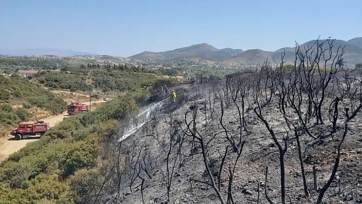 Datça'daki Yangında 2 Dönüm Makilik Alan Zarar Gördü