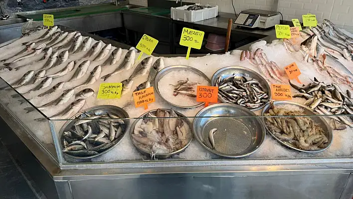 Doğan Seafood Balık Market'te kış kampanyası başladı