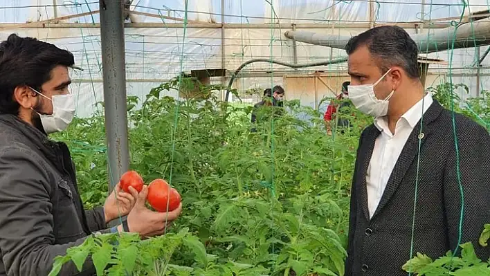 Erbay, domates ihracatında kotanın kaldırılması için çağrıda bulundu