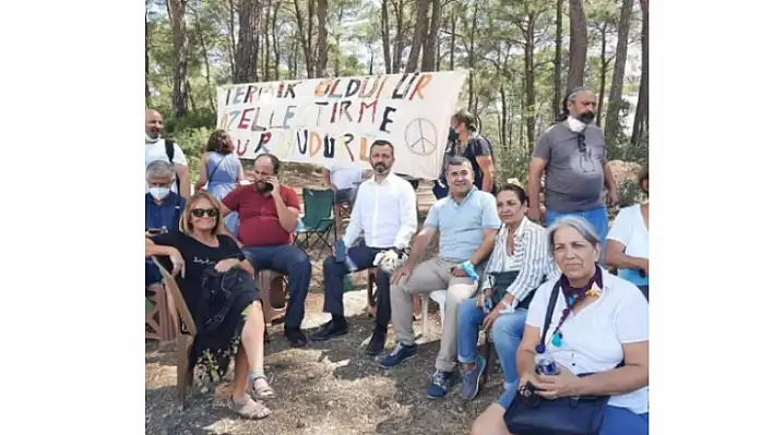 Erbay 'Zeytinlikleri yok etmek yanlıştır'